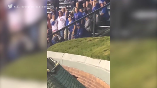 The Sports Highlight Of The Day Is This Very Determined Rat At Wrigley Field